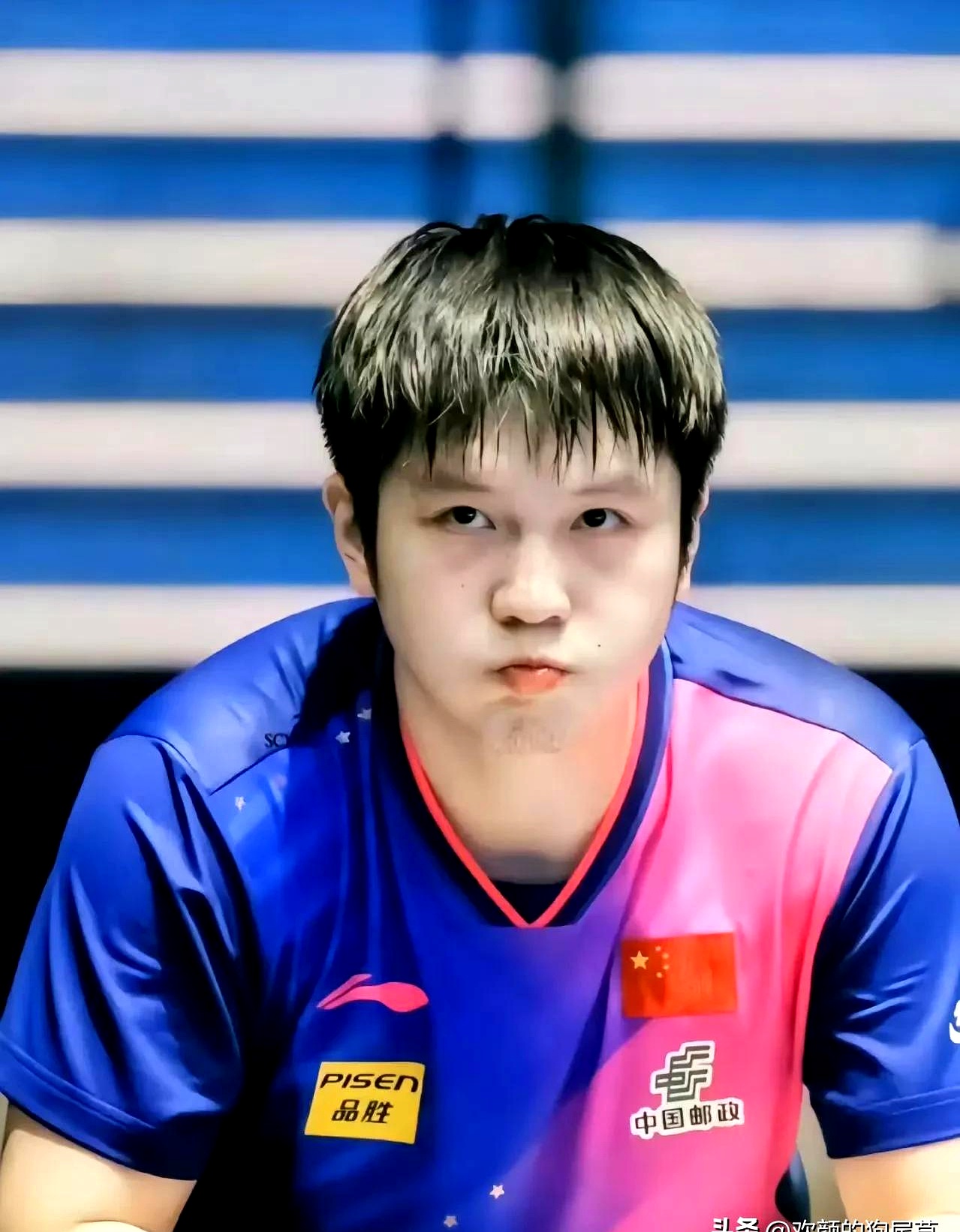 波兰队绝杀中国队，樊振东状态火热