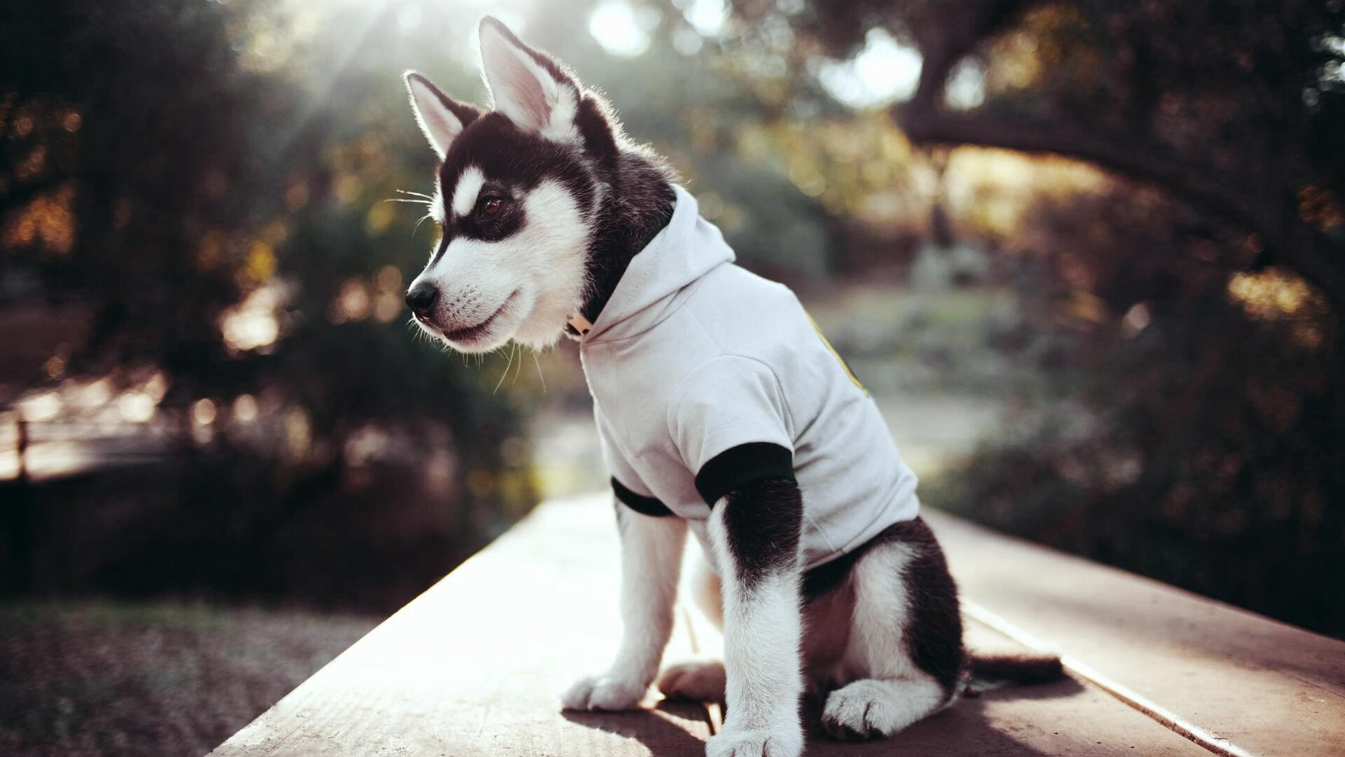 逆转，但非唯一主角，郑思维点燃火种与韩国队的群体性救赎