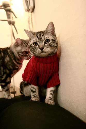 英格拉姆终破心魔!湖人窒息防守锁定狼群,焦点战成就蜕变之夜