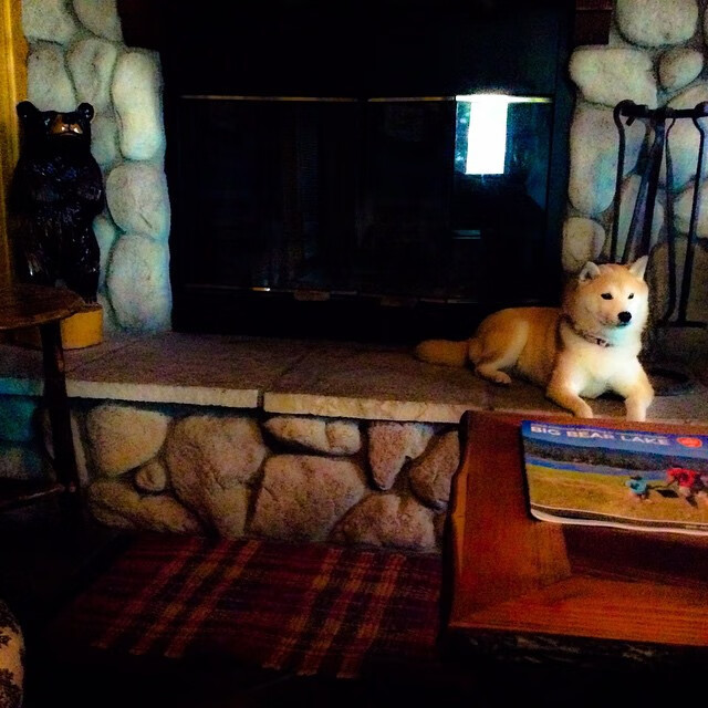 绝境铸剑！欧文高压下轰下40+率辽宁险胜上海