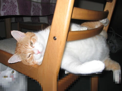 绿茵无疆界,从玻利维亚高原到奥斯梅恩的欧洲之巅