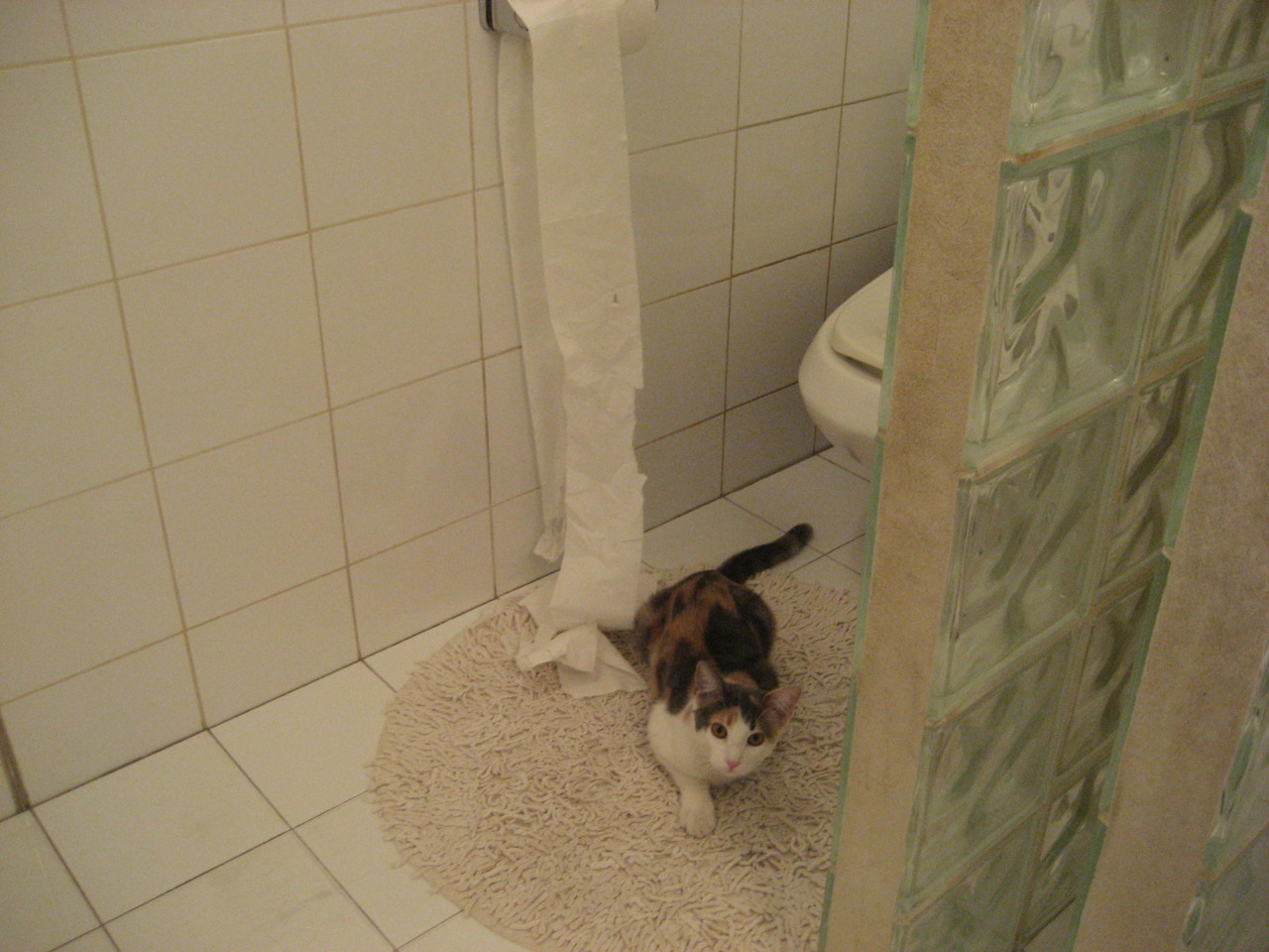 黑色巨兽与刀锋舞者，罗德里戈征服夜之赛道