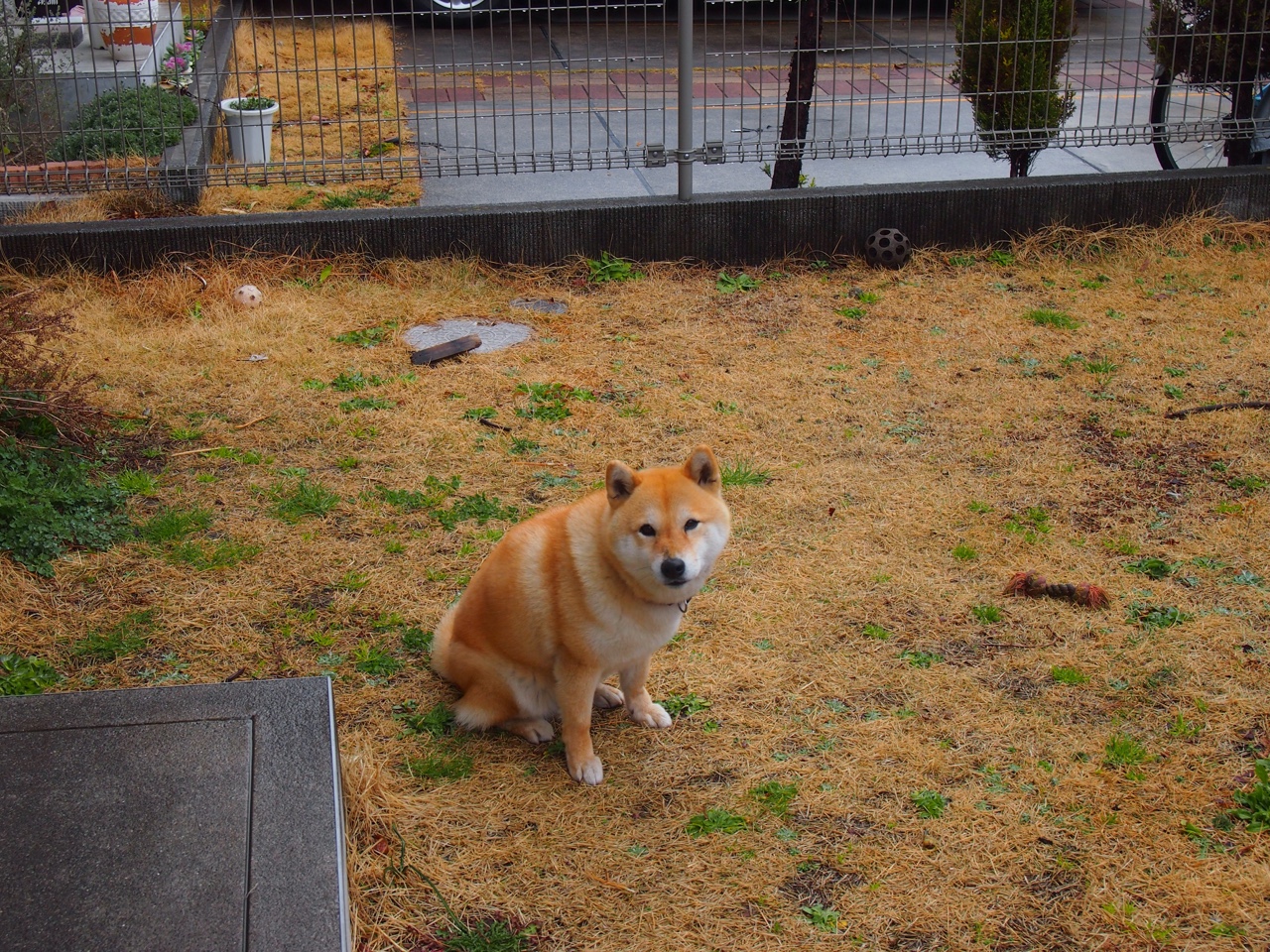 速度与逆转，F1新赛季与魔术逆袭的独特周末