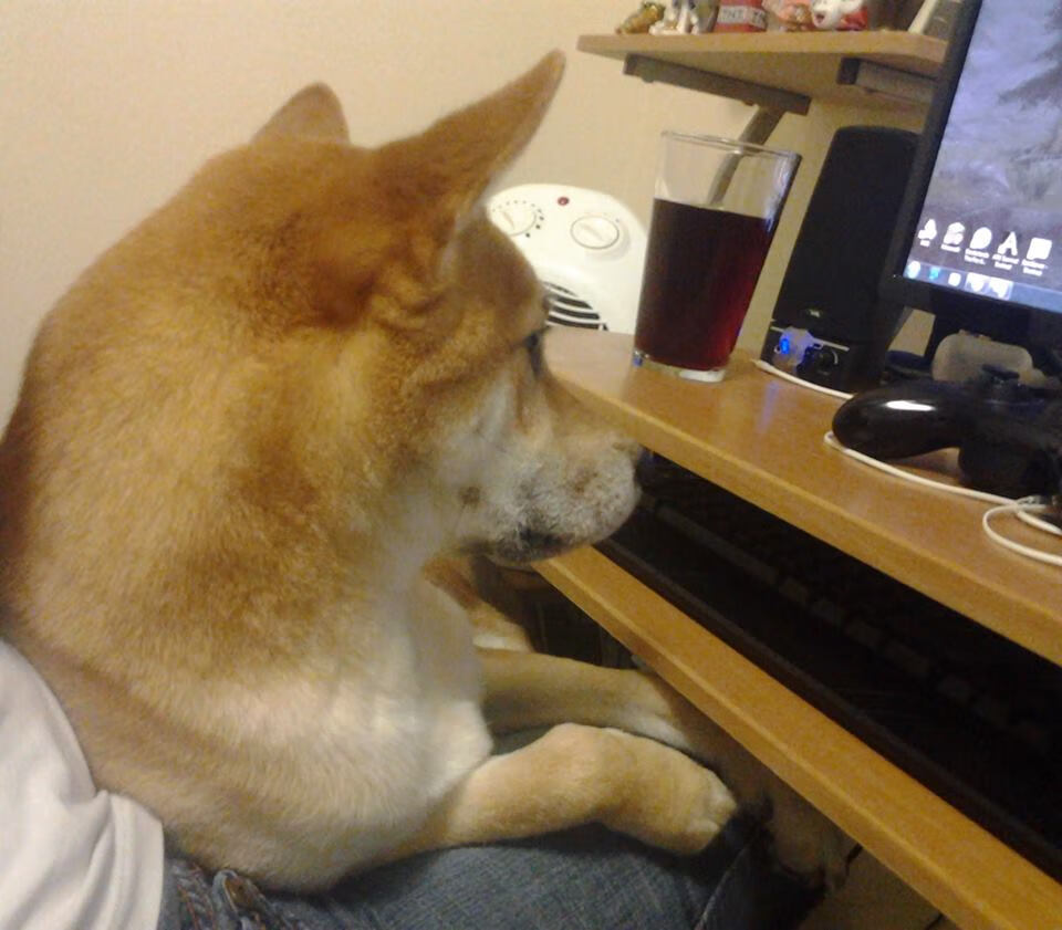 跨界为王！篮球巨星空降足球场，詹姆斯一传一射决定双森对决