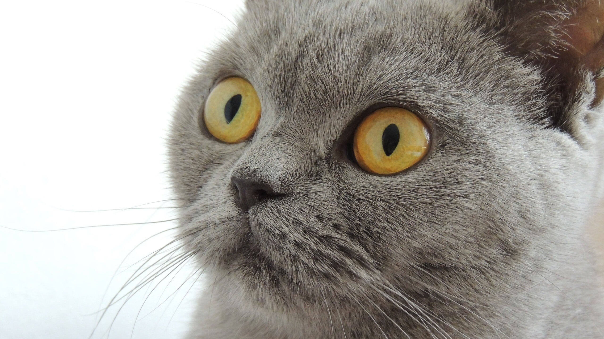 数据核爆！皮克天神下凡撕裂阿森纳，一场比赛颠覆足球认知