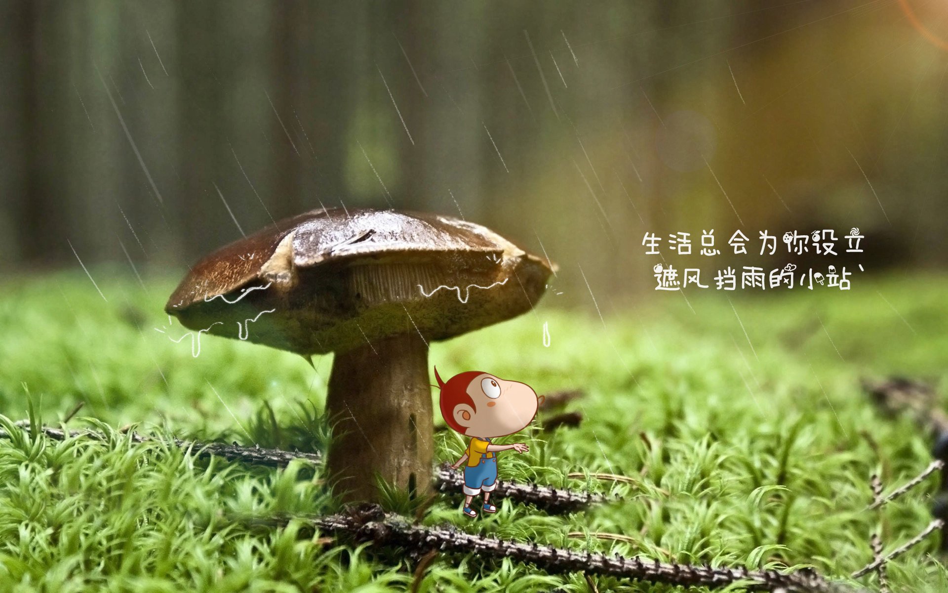 爱游戏官网-绝地反击，2026世界杯E组惊天一幕，加纳逆转葡萄牙，孙兴慜独木难支却闪耀全场