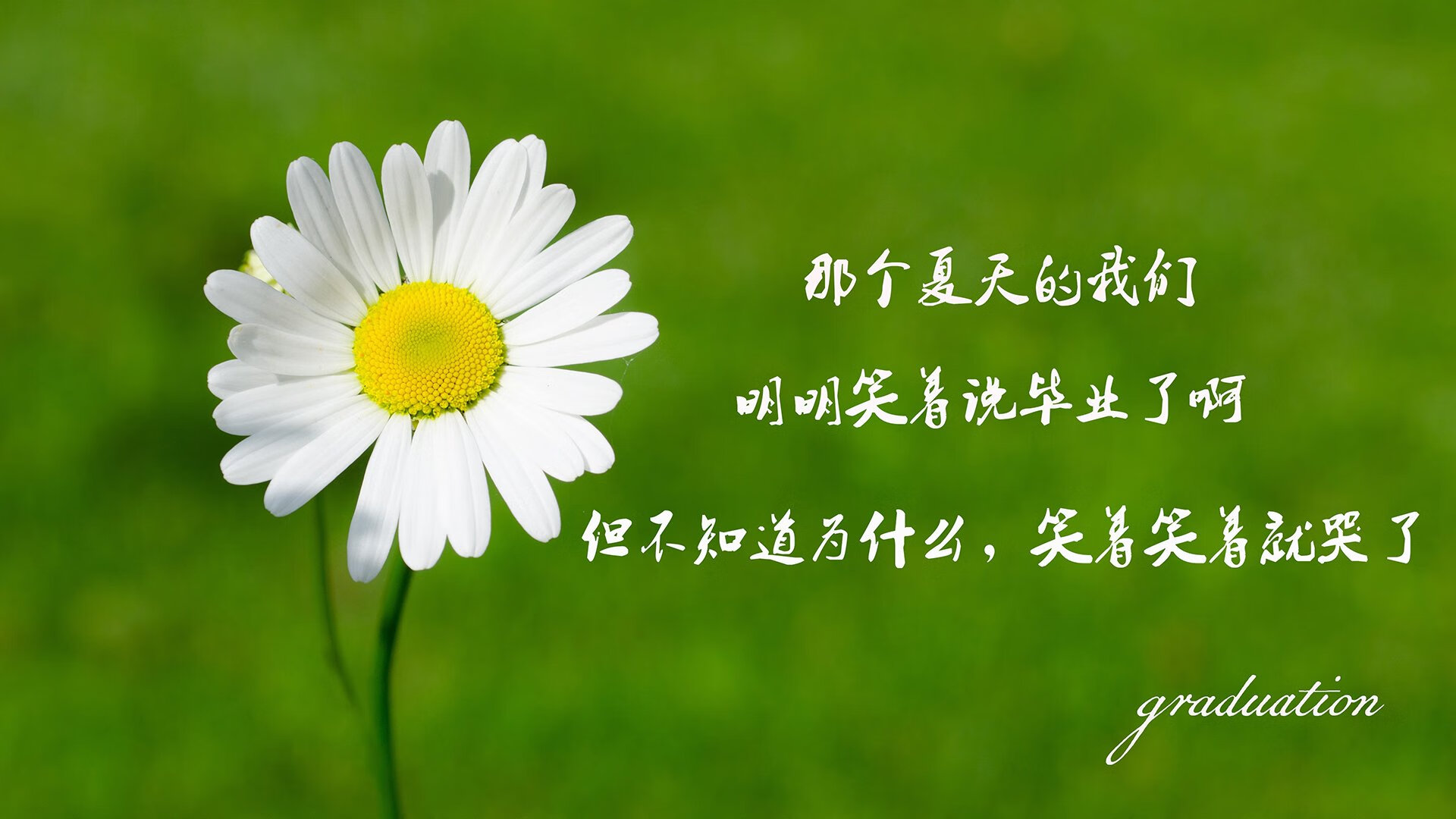 爱游戏APP-沙漠之狐的黄昏绝杀，费利克斯一剑封喉，摩洛哥逆转东瀛武士